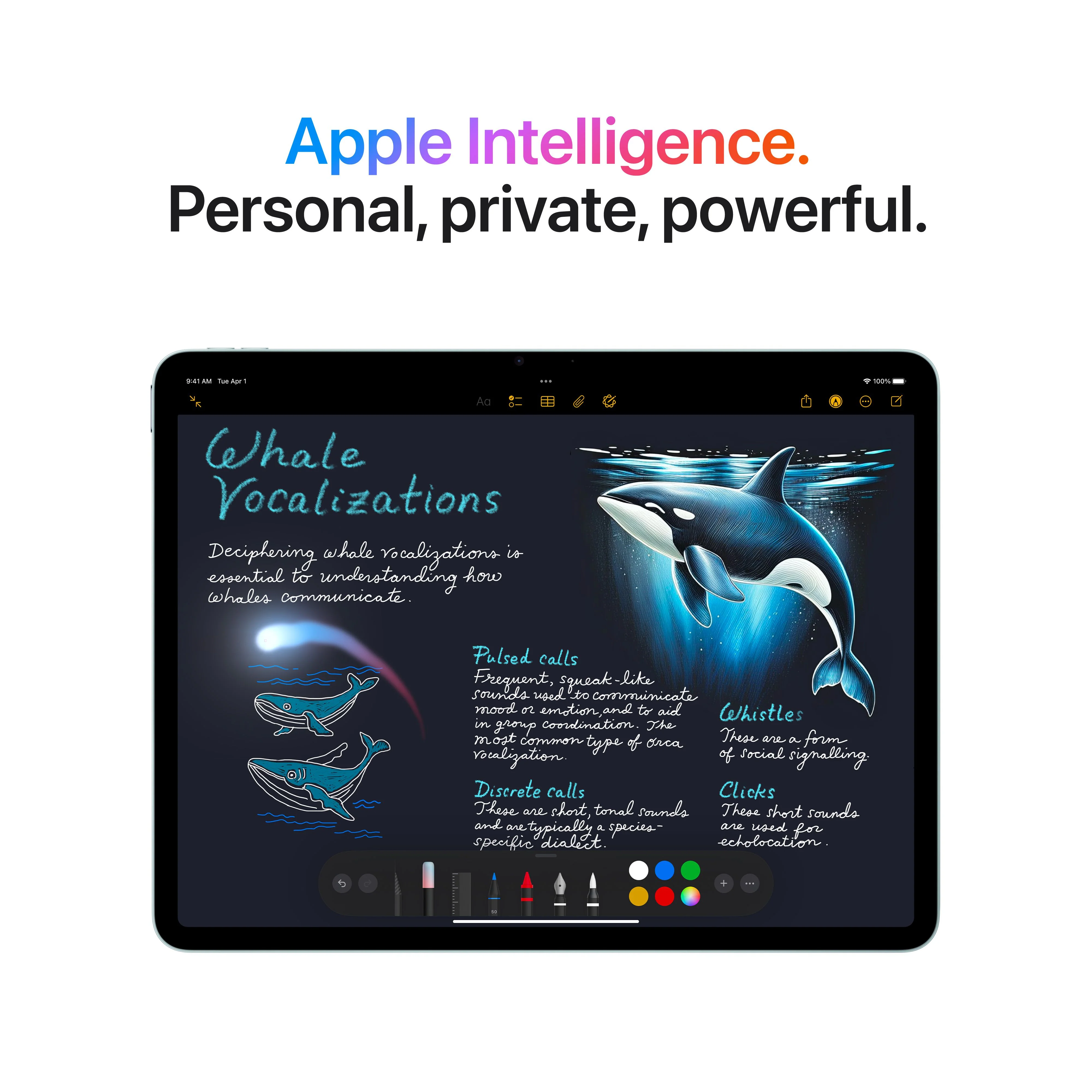11-inch iPad Air Wi-Fi 256GB - Space Grey (M3) - Image 5
