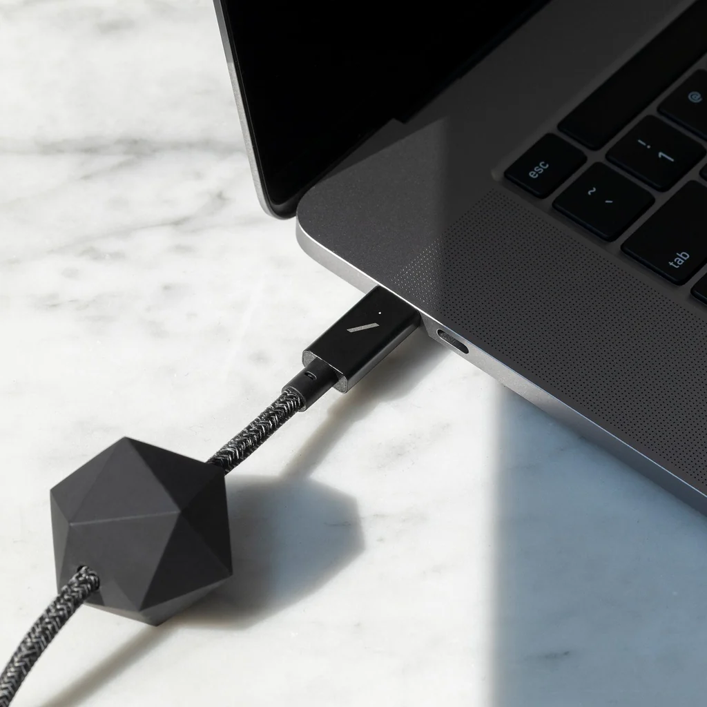 Native Union 2.4M Belt USB-C to USB-C Charging Cable - Zebra (240W) - Image 3